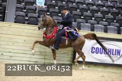 22BUCK_08152 proof
