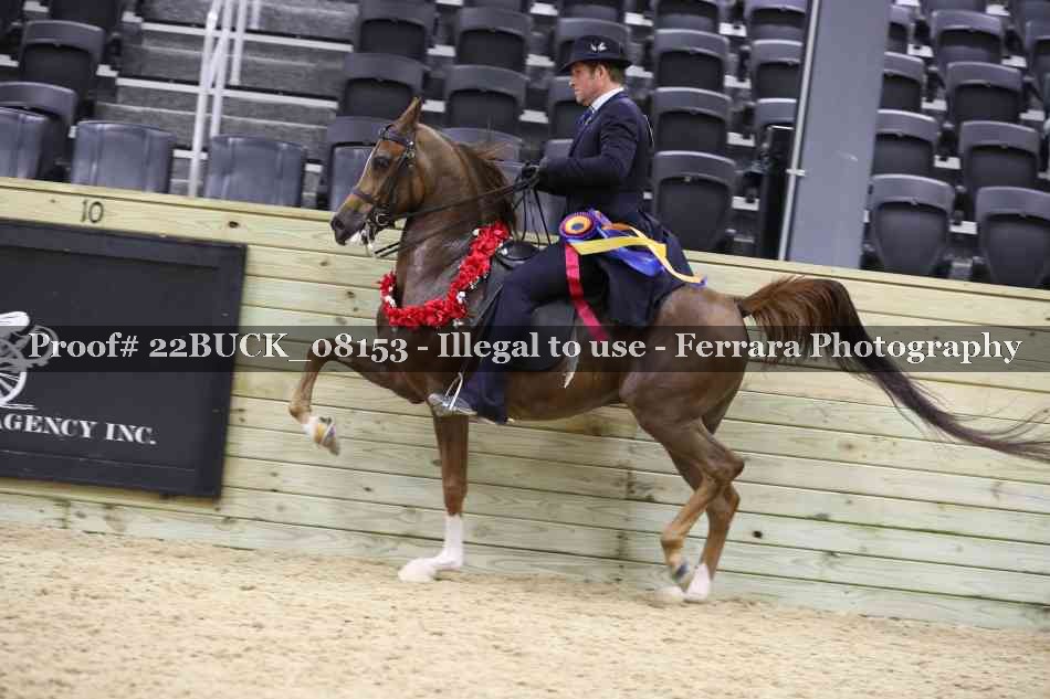 Proof 22BUCK_08153