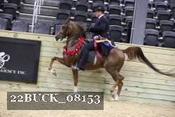 22BUCK_08153 proof