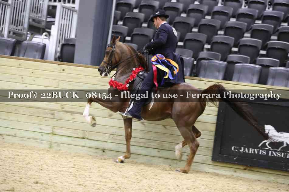 Proof 22BUCK_08154