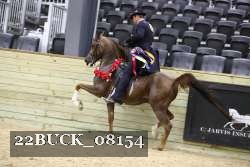 22BUCK_08154 proof