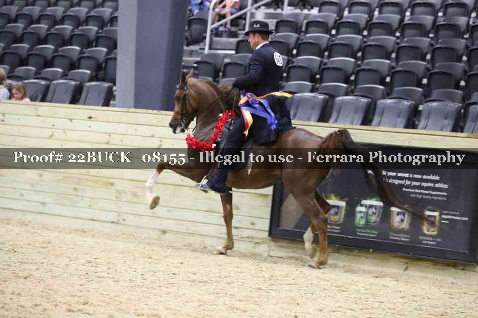 Proof 22BUCK_08155