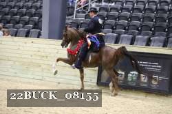 22BUCK_08155 proof