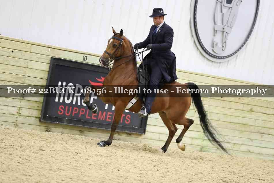 Proof 22BUCK_08156