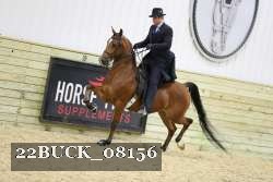 22BUCK_08156 proof