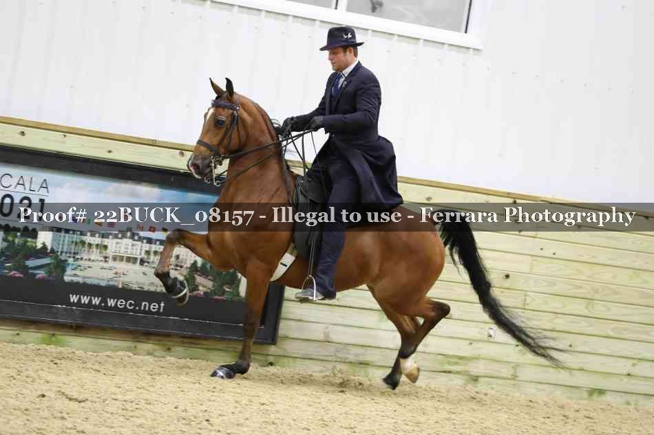 Proof 22BUCK_08157