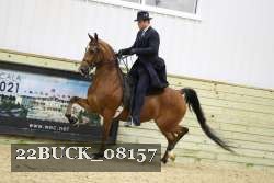 22BUCK_08157 proof