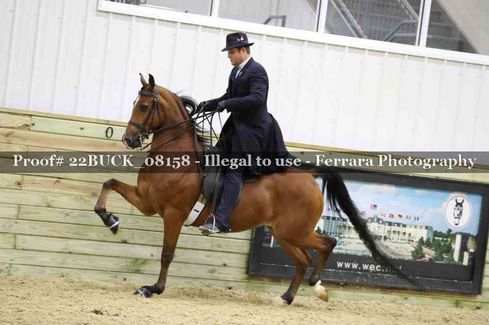 Proof 22BUCK_08158
