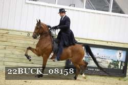 22BUCK_08158 proof