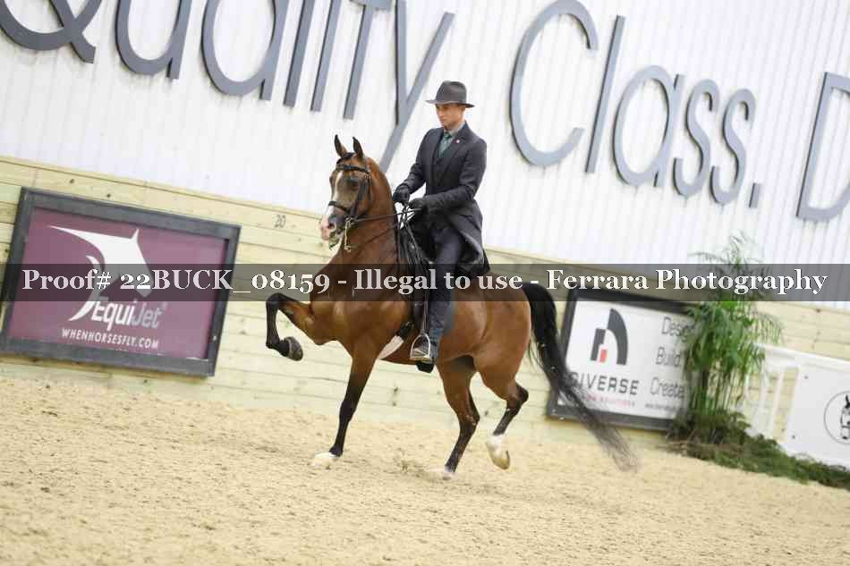 Proof 22BUCK_08159