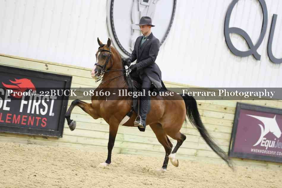 Proof 22BUCK_08160