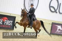 22BUCK_08160 proof