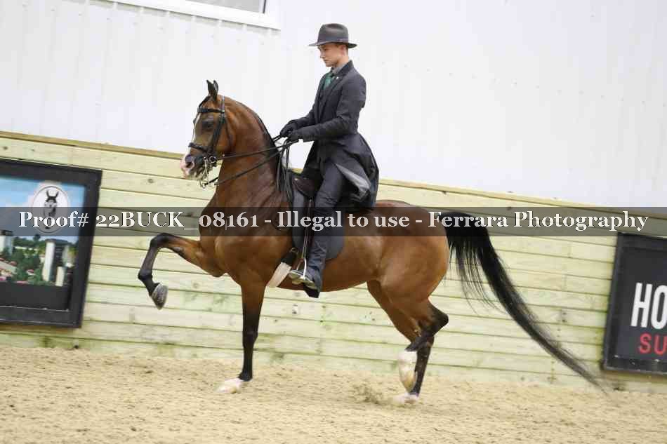 Proof 22BUCK_08161