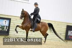 22BUCK_08161 proof