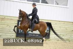 22BUCK_08162 proof