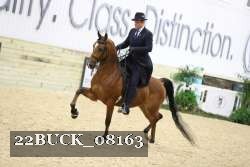 22BUCK_08163 proof