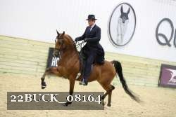 22BUCK_08164 proof