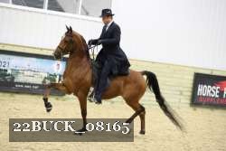 22BUCK_08165 proof
