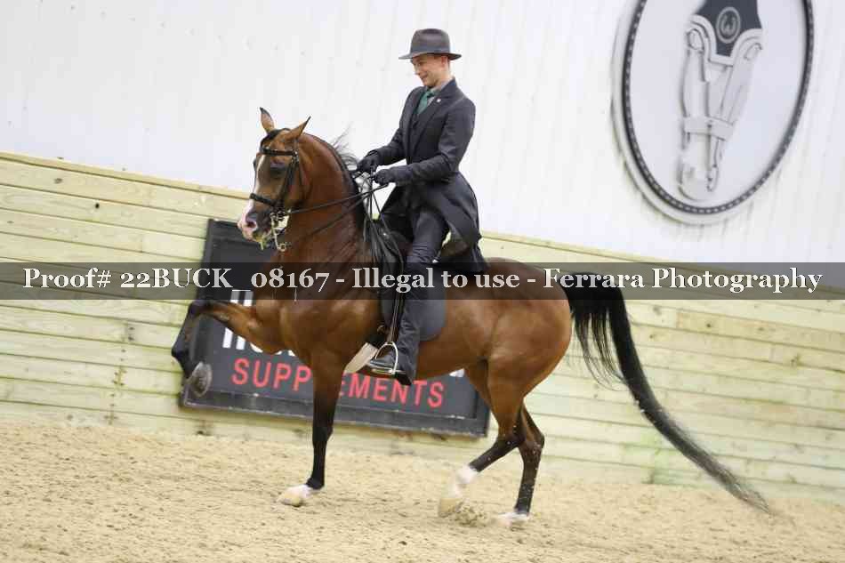 Proof 22BUCK_08167