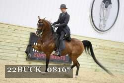 22BUCK_08167 proof
