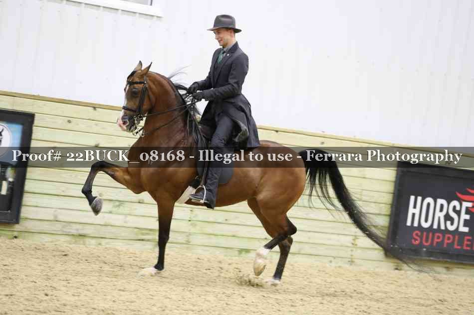 Proof 22BUCK_08168