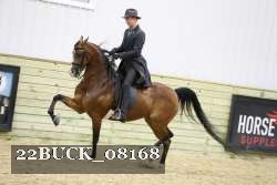 22BUCK_08168 proof