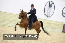 22BUCK_08169 proof