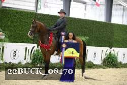 22BUCK_08170 proof