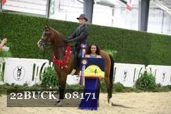 22BUCK_08171 proof