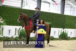 22BUCK_08172 proof
