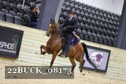 22BUCK_08173 proof