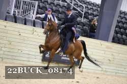 22BUCK_08174 proof