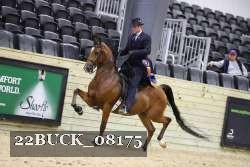 22BUCK_08175 proof