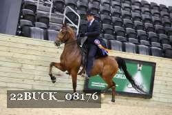 22BUCK_08176 proof