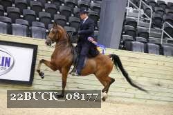 22BUCK_08177 proof