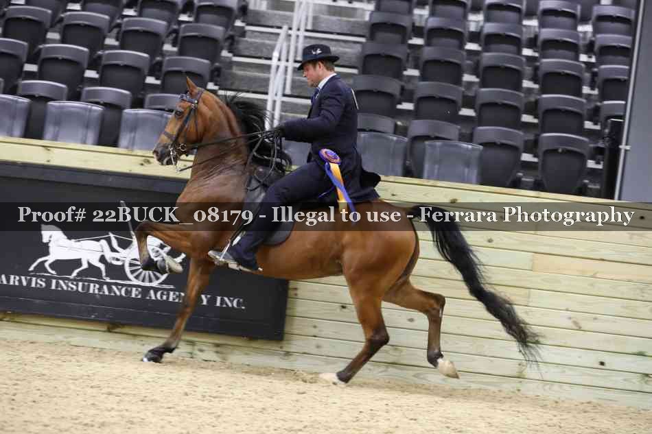 Proof 22BUCK_08179