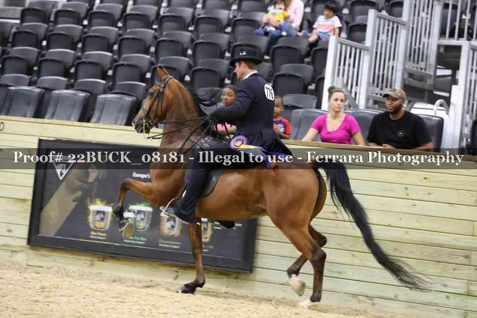 Proof 22BUCK_08181