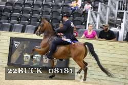 22BUCK_08181 proof