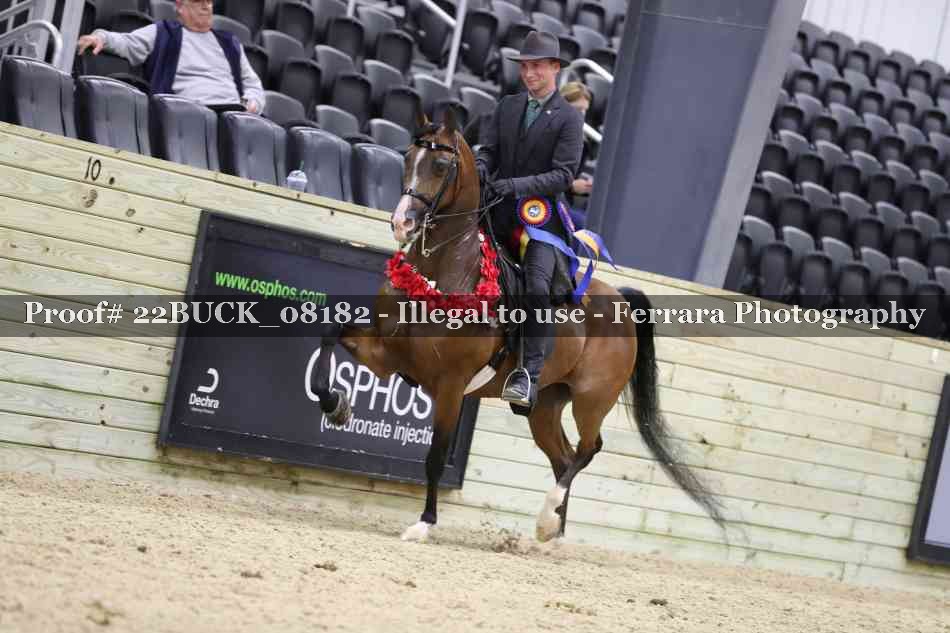 Proof 22BUCK_08182