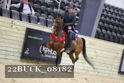 22BUCK_08182 proof