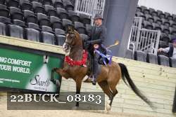 22BUCK_08183 proof