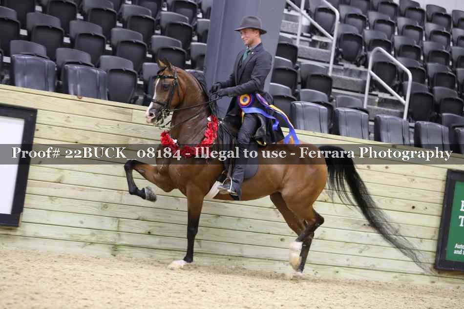Proof 22BUCK_08184