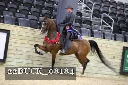 22BUCK_08184 proof