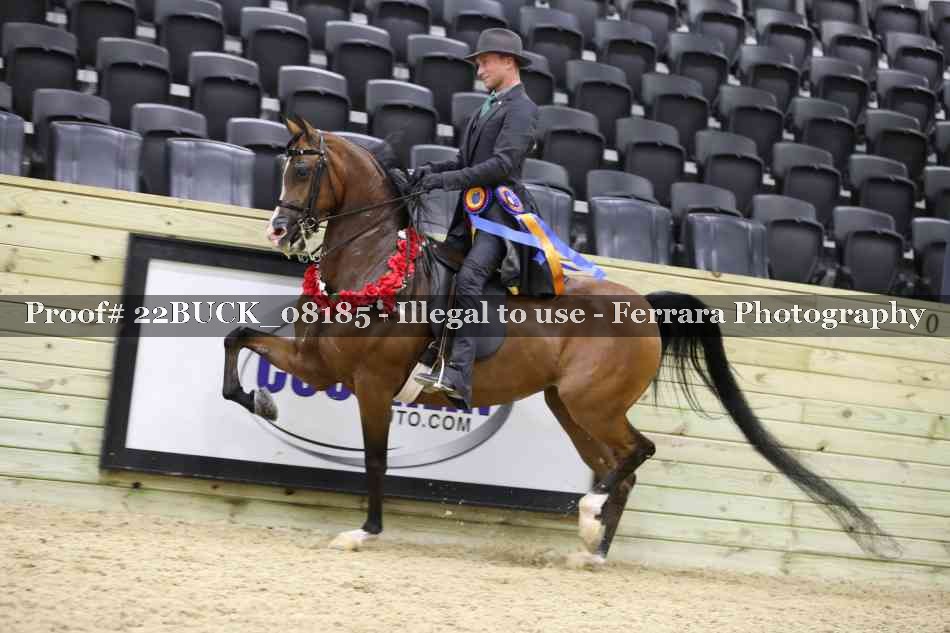 Proof 22BUCK_08185