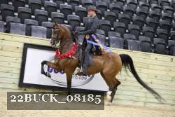 22BUCK_08185 proof