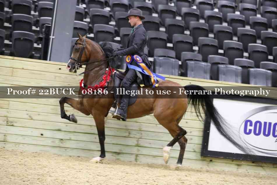 Proof 22BUCK_08186