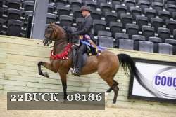 22BUCK_08186 proof