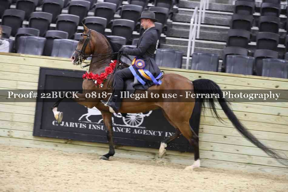 Proof 22BUCK_08187