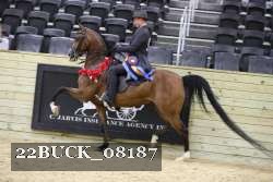 22BUCK_08187 proof