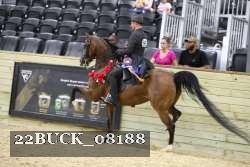 22BUCK_08188 proof